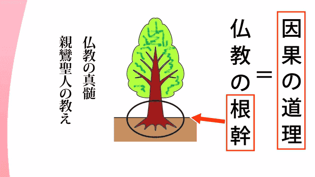 とどろき仏教教室 因果の道理 第1回 不可解な”運命”